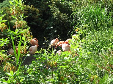(ein tag im zoo)